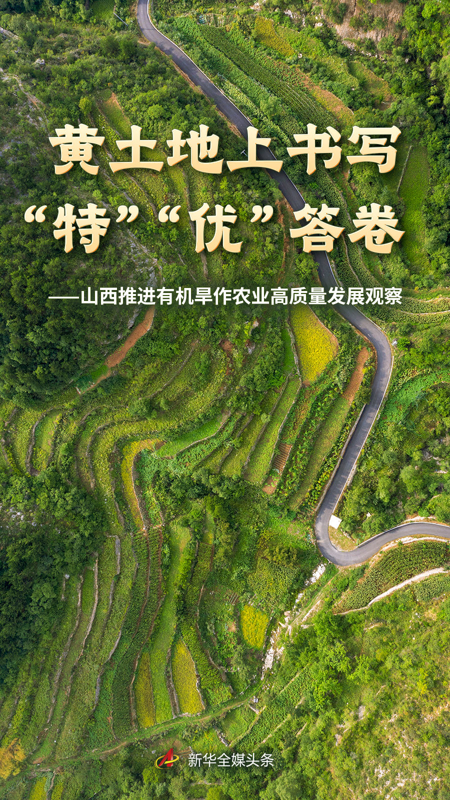 精选金年会平台内容，金年会与你一同发现更多精彩。 - 金年会